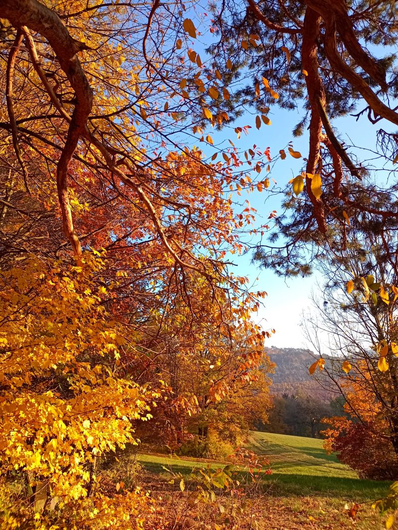 Herbststimmung